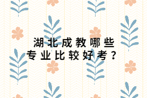 湖北成教哪些專業(yè)比較好考？