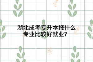 湖北成考專升本報什么專業(yè)比較好就業(yè)？