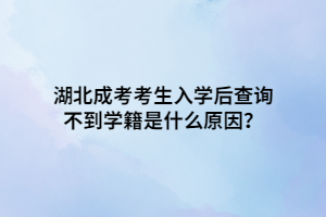 湖北成考考生入學(xué)后查詢不到學(xué)籍是什么原因？