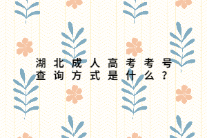 湖北成人高考考號(hào)查詢方式是什么？