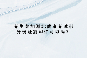 考生參加湖北成考考試帶身份證復(fù)印件可以嗎？