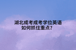 湖北成考成考學(xué)位英語如何抓住重點(diǎn)？