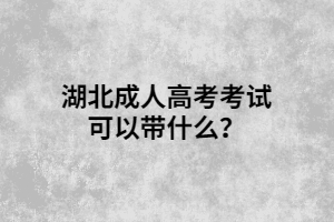 湖北成人高考考試可以帶什么？