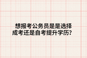 想報(bào)考公務(wù)員是是選擇成考還是自考提升學(xué)歷？