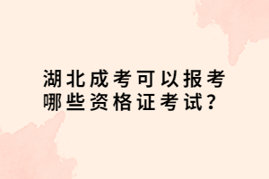 湖北成考可以報考哪些資格證考試？