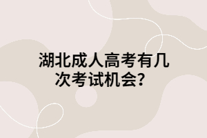 湖北成人高考有幾次考試機(jī)會(huì)？