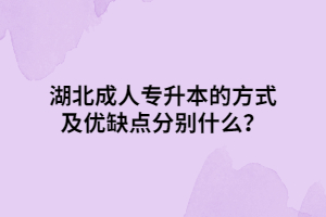湖北成人專升本的方式及優(yōu)缺點(diǎn)分別什么？