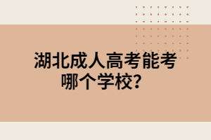 湖北成人高考能考哪個學校？
