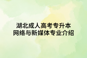 湖北成人高考專升本網絡與新媒體專業(yè)介紹