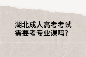 湖北成人高考考試需要考專業(yè)課嗎？