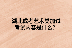 湖北成考藝術(shù)類加試考試內(nèi)容是什么？