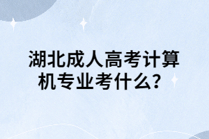 湖北成人高考計(jì)算機(jī)專業(yè)考什么？
