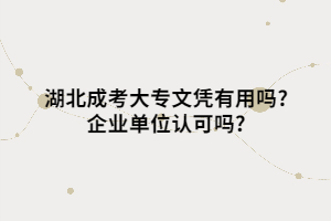 湖北成考大專文憑有用嗎?企業(yè)單位認(rèn)可嗎?