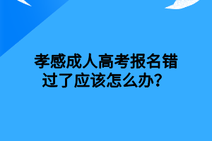 孝感成人高考報(bào)名錯(cuò)過(guò)了應(yīng)該怎么辦？