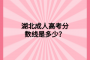 湖北成人高考分?jǐn)?shù)線是多少？