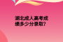 湖北成人高考成績多少分錄??？
