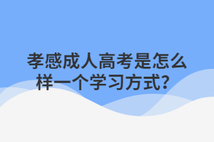 孝感成人高考是怎么樣一個學(xué)習方式？