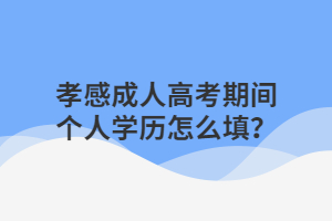 孝感成人高考期間個人學(xué)歷怎么填？