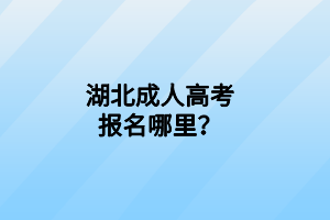 湖北成人高考報名哪里？
