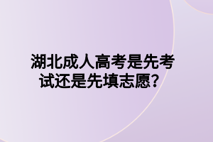 湖北成人高考是先考試還是先填志愿？