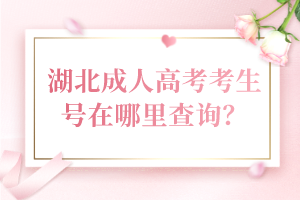 湖北成人高考考生號在哪里查詢？