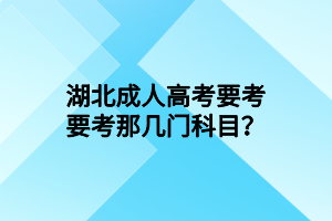 湖北成人高考要考要考那幾門科目？