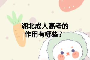 湖北成人高考的作用有哪些？