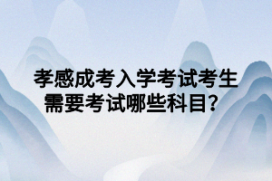 孝感成考入學(xué)考試考生需要考試哪些科目？