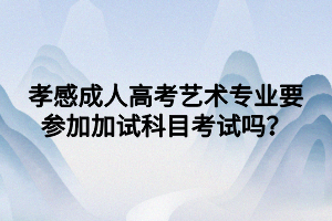 孝感成人高考藝術專業(yè)要參加加試科目考試嗎？