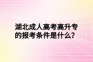 湖北成人高考高升專的報考條件是什么？