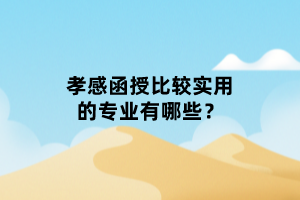 孝感函授比較實(shí)用的專業(yè)有哪些？
