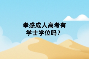 孝感成人高考有學士學位嗎？