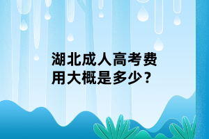 湖北成人高考費用大概是多少？