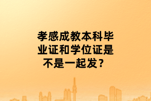 孝感成教本科畢業(yè)證和學(xué)位證是不是一起發(fā)？