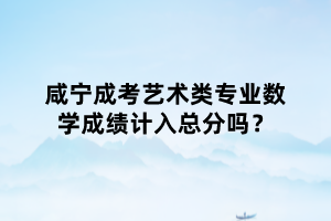 咸寧成考藝術(shù)類專業(yè)數(shù)學(xué)成績計入總分嗎？