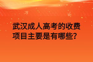 武漢成人高考的收費項目主要是有哪些？