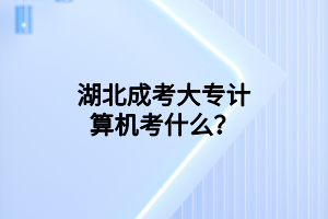 湖北成考大專計算機(jī)考什么？