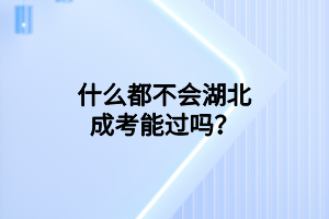 什么都不會(huì)湖北成考能過(guò)嗎？