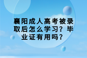 襄陽成人高考被錄取后怎么學(xué)習(xí)？畢業(yè)證有用嗎？