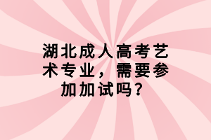 湖北成人高考藝術(shù)專業(yè)，需要參加加試嗎？