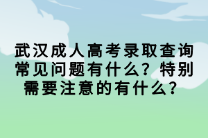 武漢成人高考錄取查詢常見問題有什么？特別需要注意的有什么？