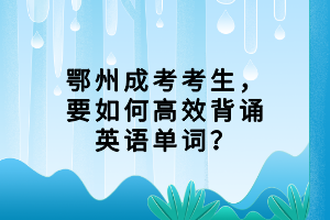鄂州成考考生，要如何高效背誦英語單詞？