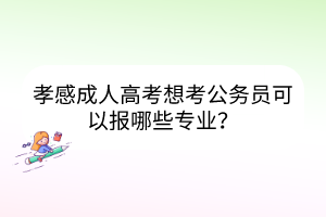 孝感成人高考想考公務(wù)員可以報(bào)哪些專(zhuān)業(yè)？
