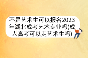 不是藝術(shù)生可以報名2023年湖北成考藝術(shù)專業(yè)嗎(成人高考可以走藝術(shù)生嗎)