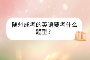 隨州成考的英語要考什么題型？