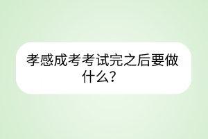 孝感成考考試完之后要做什么？