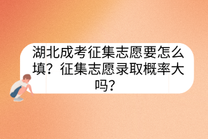 湖北成考征集志愿要怎么填？征集志愿錄取概率大嗎？