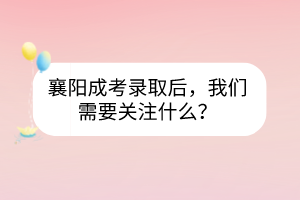 襄陽成考錄取后，我們需要關注什么？
