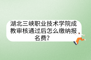湖北三峽職業(yè)技術(shù)學(xué)院成教審核通過(guò)后怎么繳納報(bào)名費(fèi)？