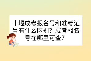 十堰成考報名號和準考證號有什么區(qū)別？成考報名號在哪里可查？